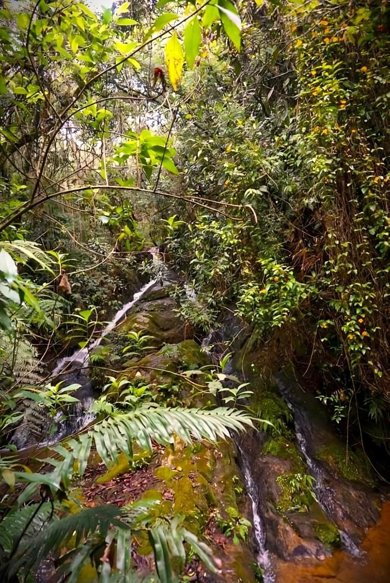 Encanto Minicasitas En Medio De La Naturaleza Санта Елена Екстериор снимка