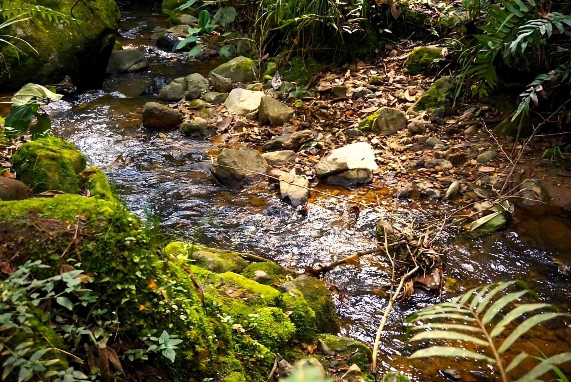 Encanto Minicasitas En Medio De La Naturaleza Санта Елена Екстериор снимка
