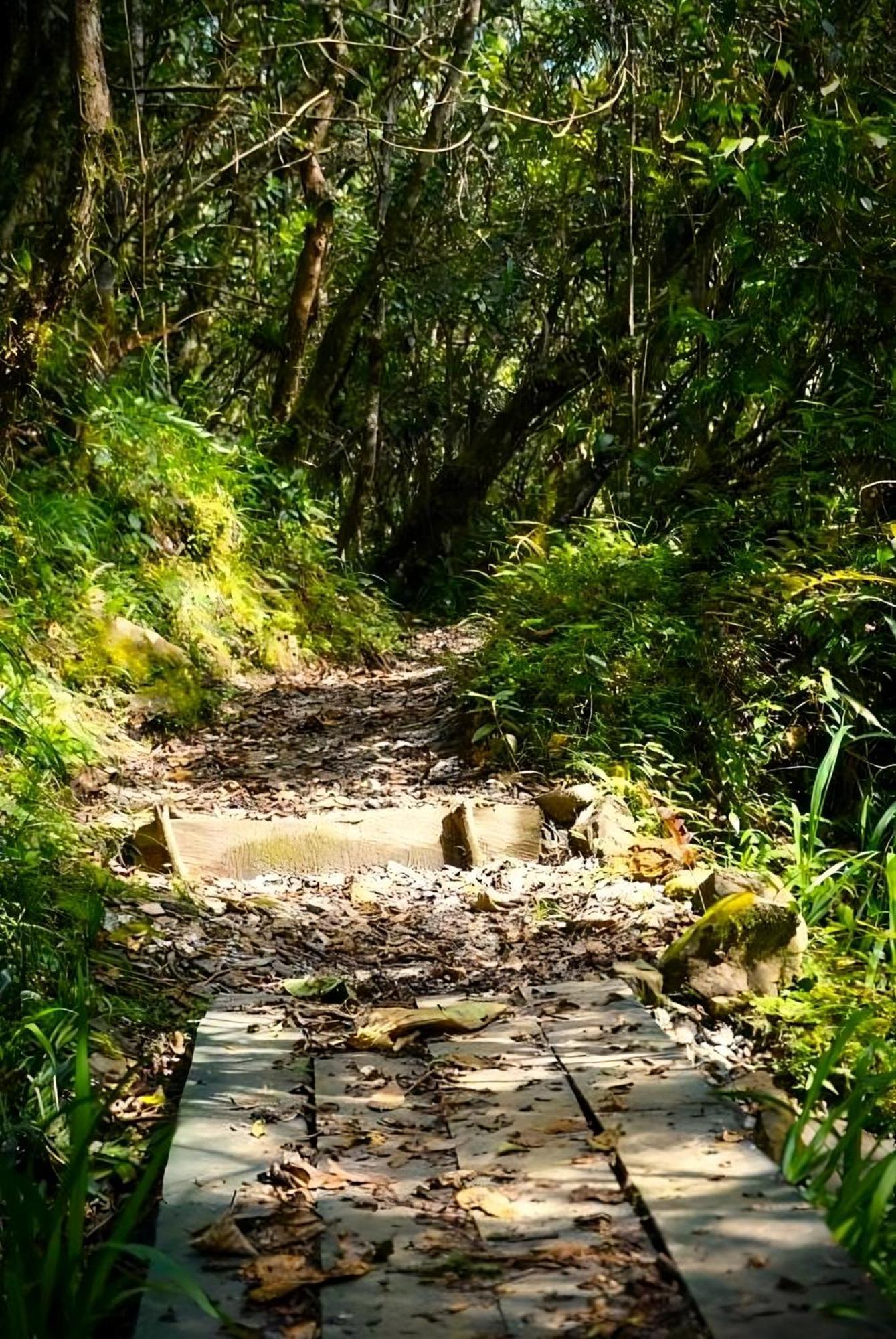 Encanto Minicasitas En Medio De La Naturaleza Санта Елена Екстериор снимка