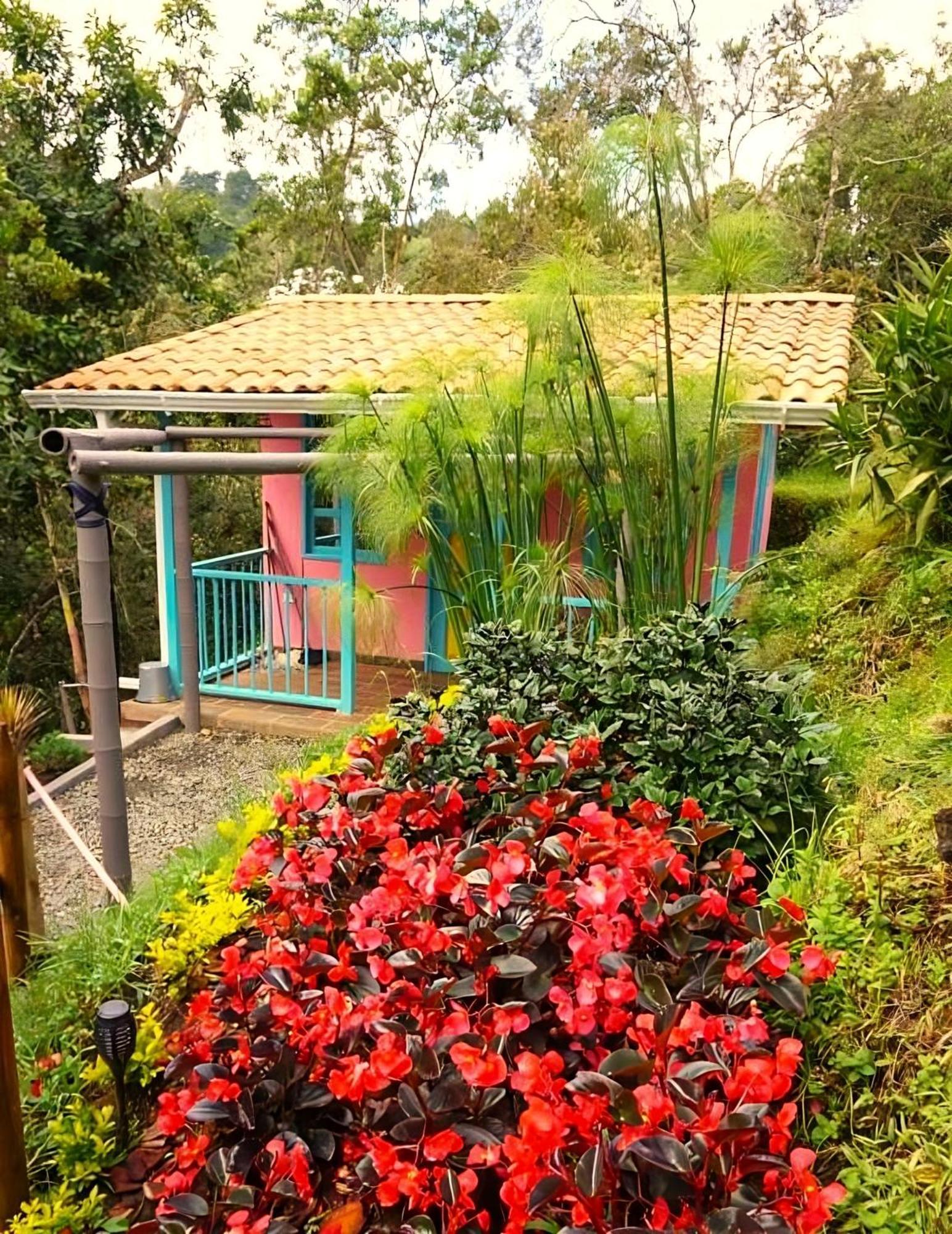 Encanto Minicasitas En Medio De La Naturaleza Санта Елена Екстериор снимка